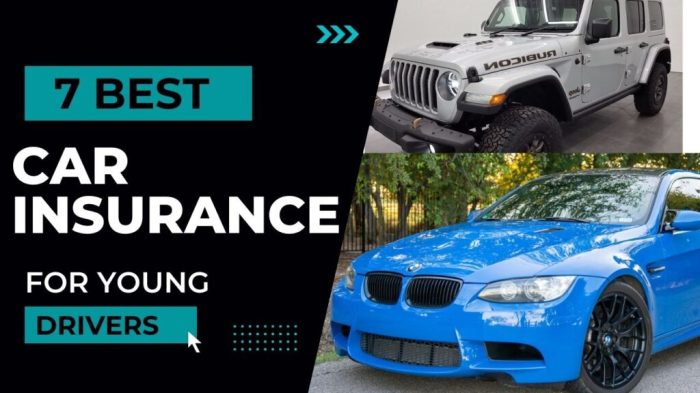 7 Best Car Insurance Quotes For Young Female Drivers - AutoVFix.com