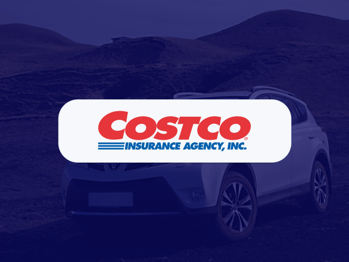 Costco Car Insurance: How Does it Work? - Policygenius
